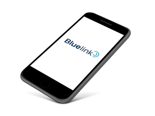 Servicios de conectividad Bluelink.