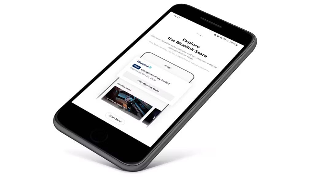  Servicios de conectividad de Bluelink®.