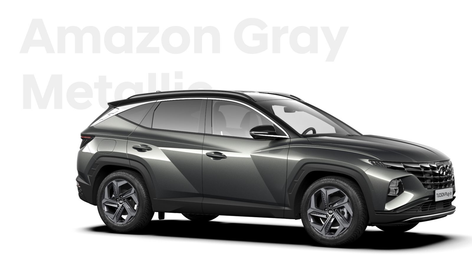 amazon grey