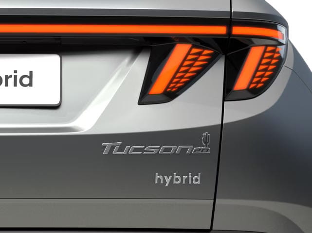 Insignia de aniversario trasera.