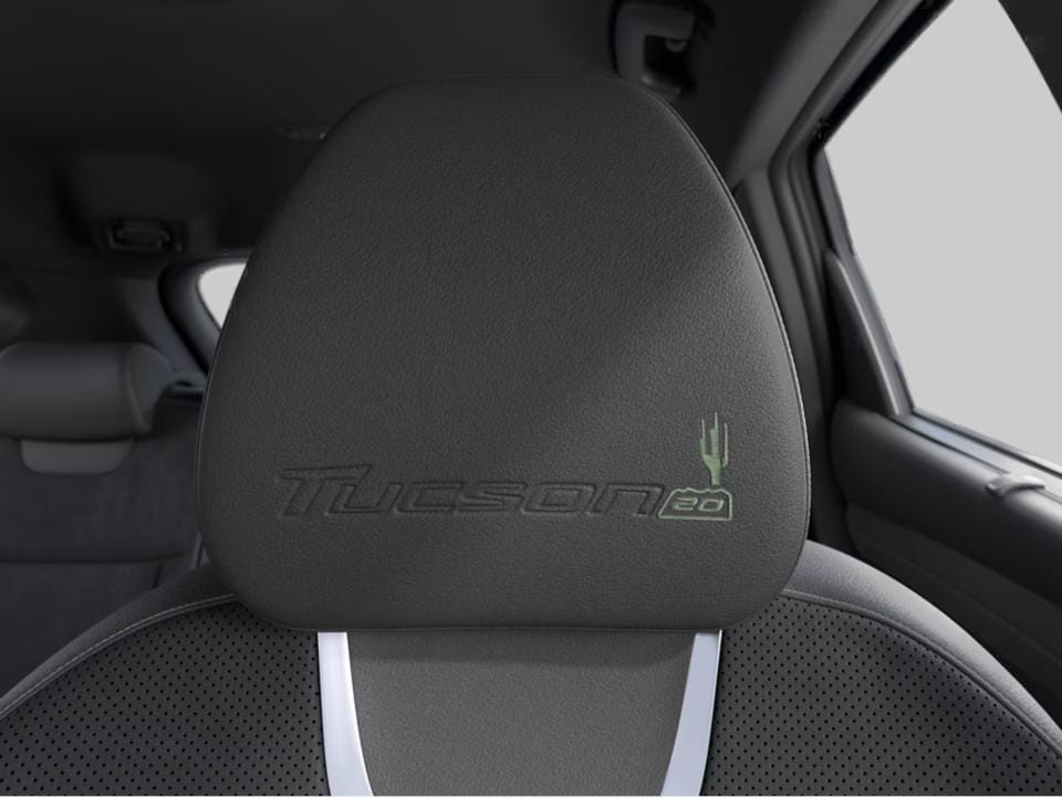 Icónico logo del 20º Aniversario.