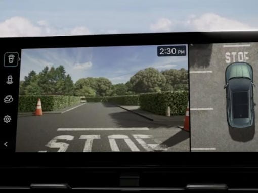 Monitor de visión periférica.