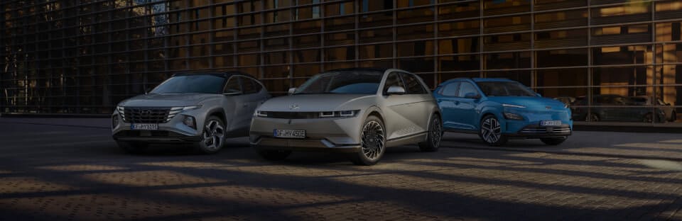 Vehículos de ocasión