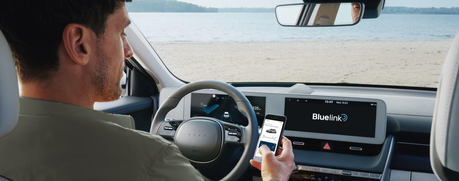 Detalles de la aplicación bluelink