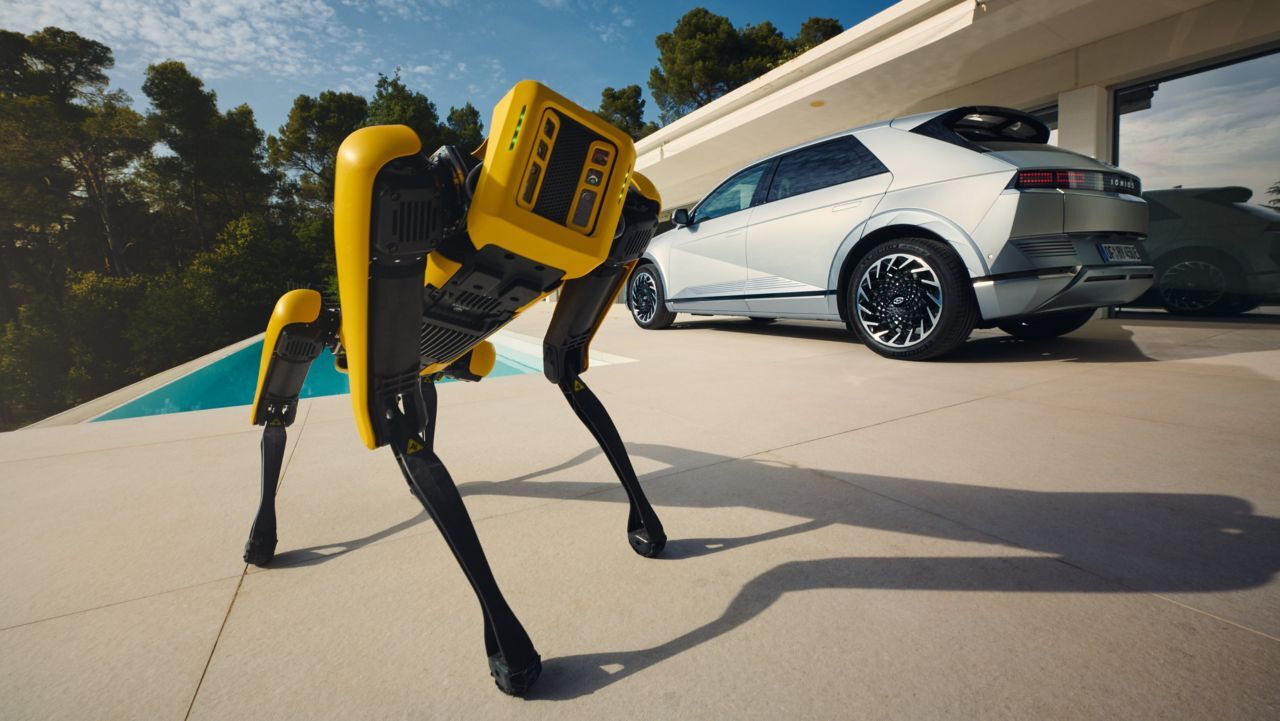robot