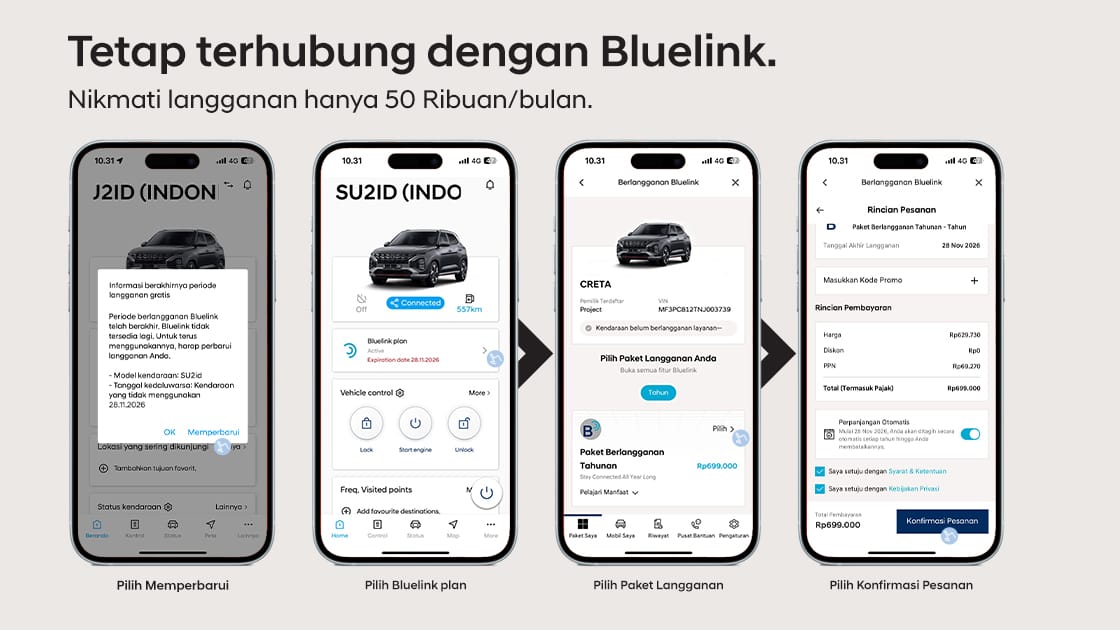bluelink subscription