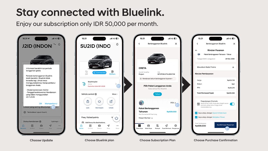 bluelink subscription
