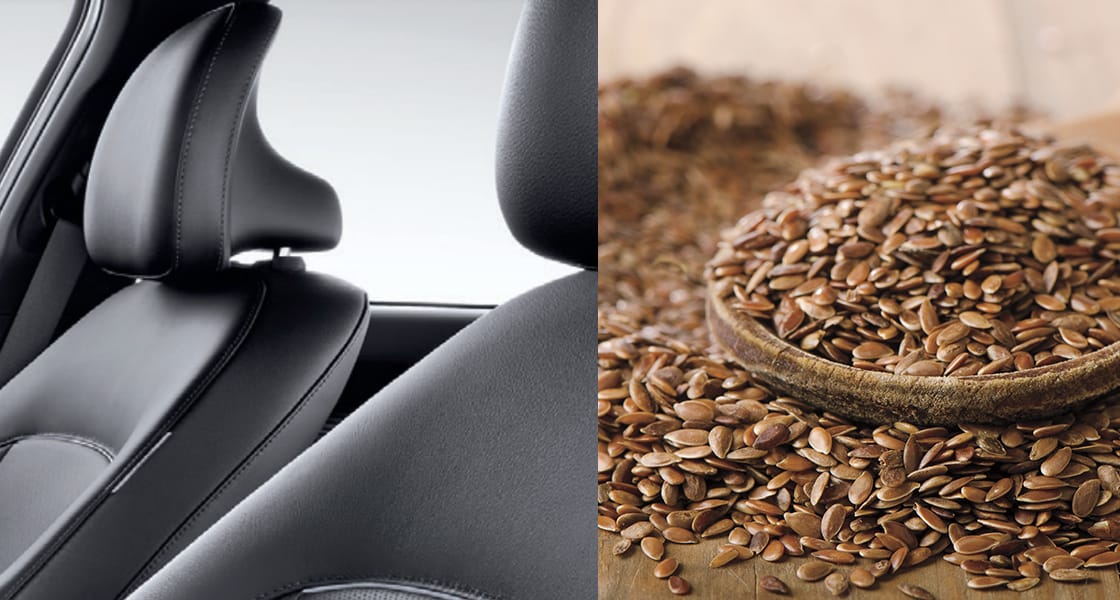 Eco-processed Leather