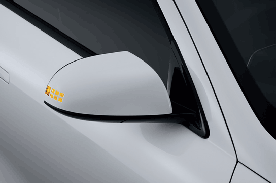 IONIQ 5 Flush Door Handles