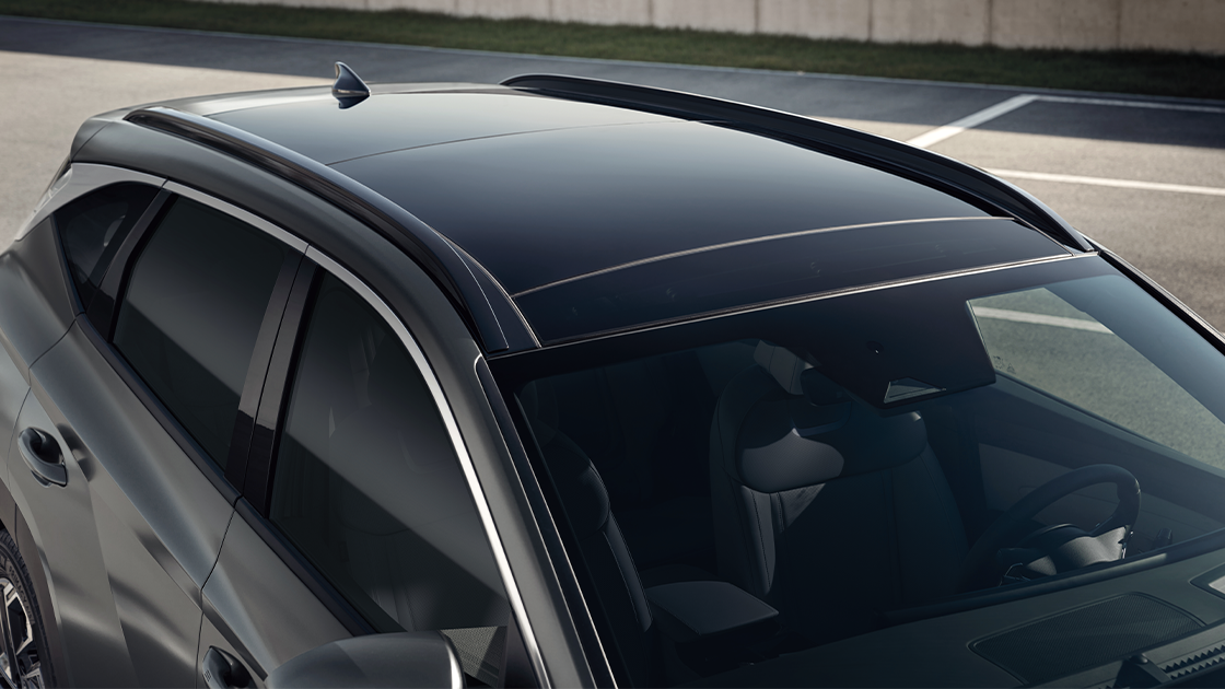 all-new-santa-fe-hidden-type-assist-handle