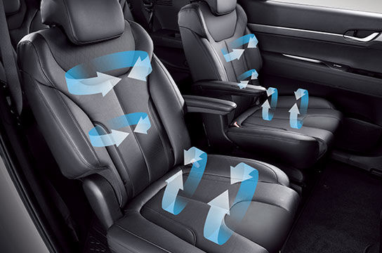Ventilated rear seat* 