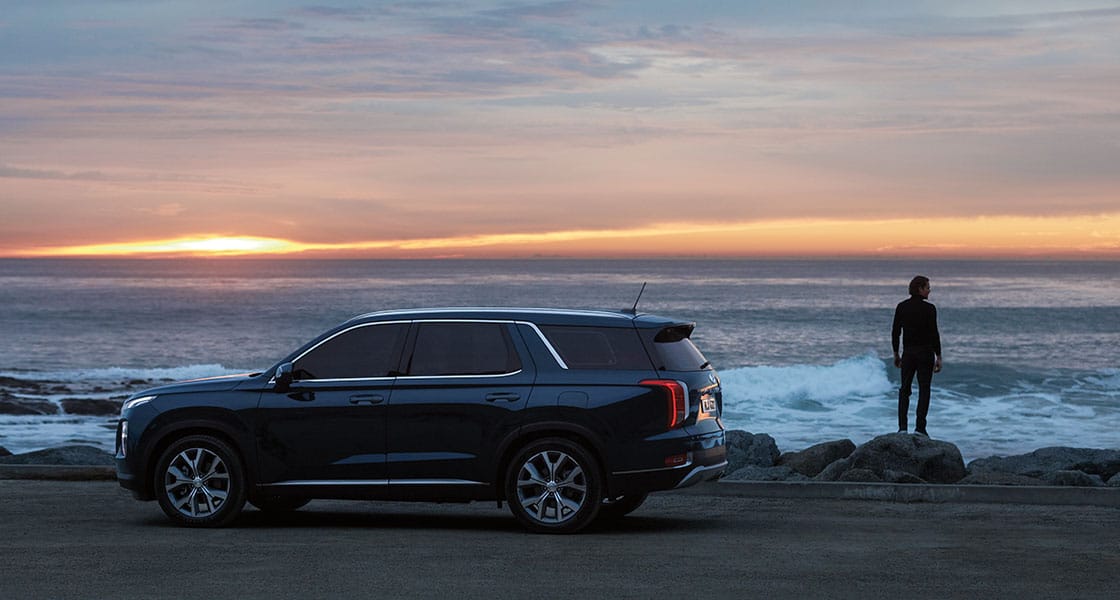 Selalu mengagumkan. Palisade