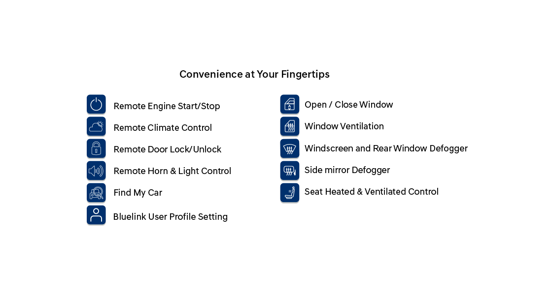 Bluelink Connect with your car.