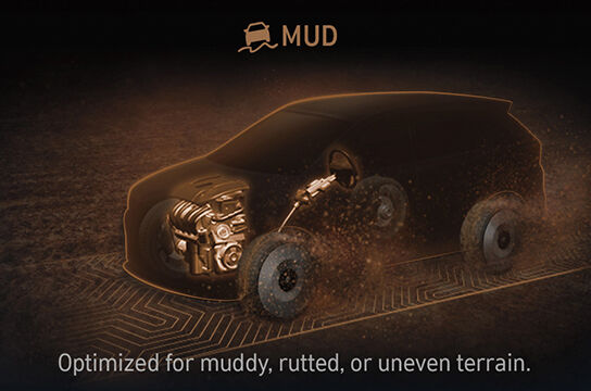 mud