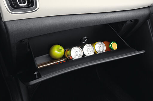  Cooled Glove box