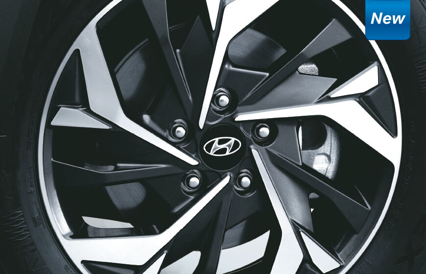 Rear Disc Brakes