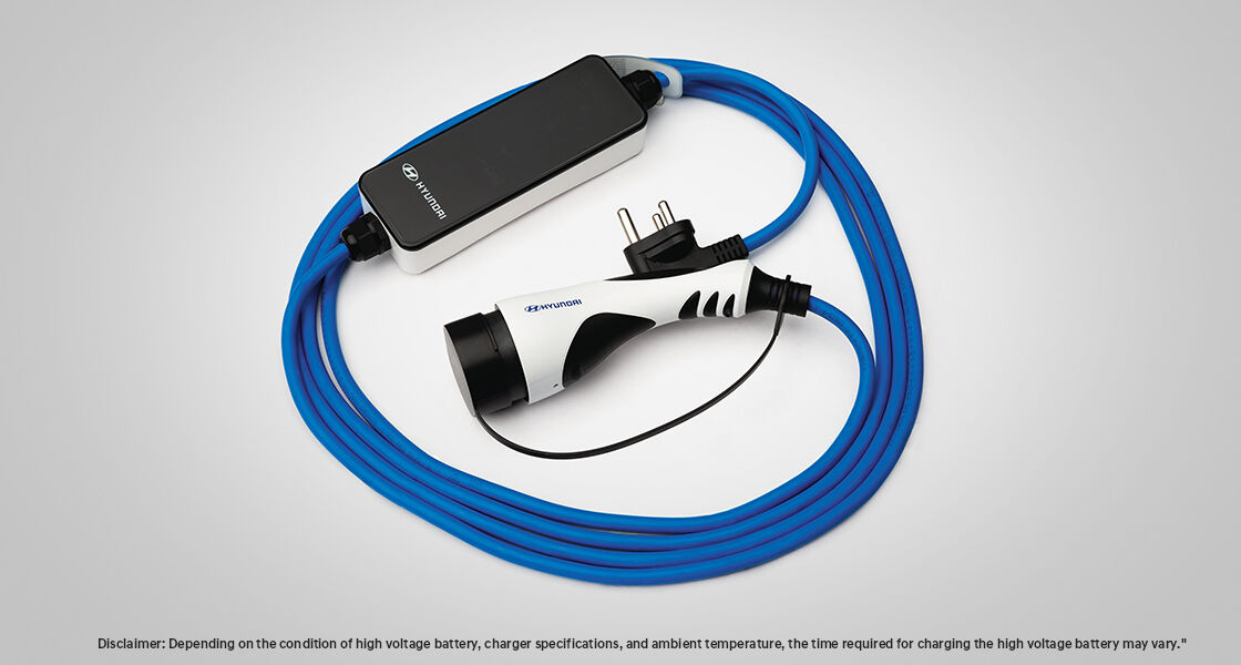 Hyundai online battery charger