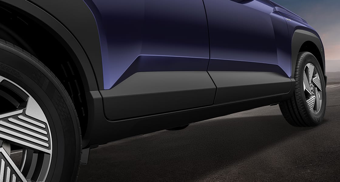 Chrome Finish Outside Door Handles