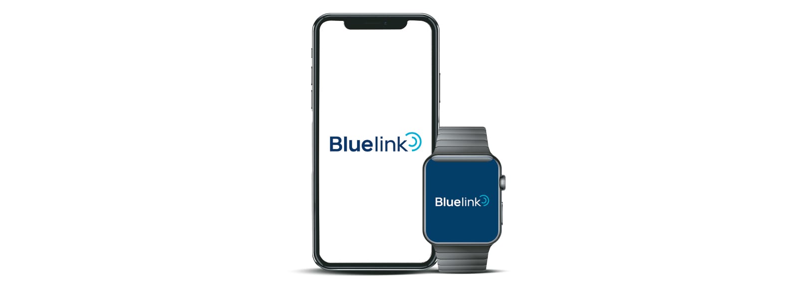 bluelink banner