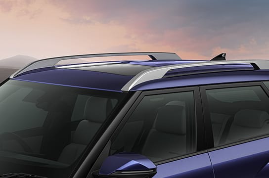 Bridge Type Roof rails