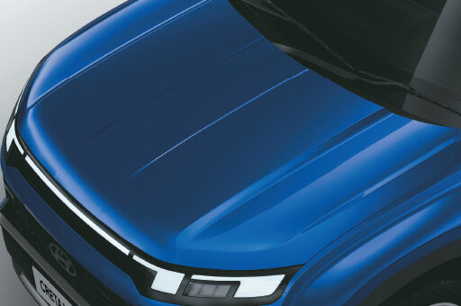 bonnet
