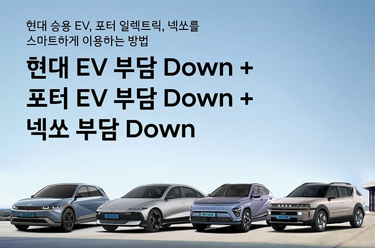 현대 부담 Down