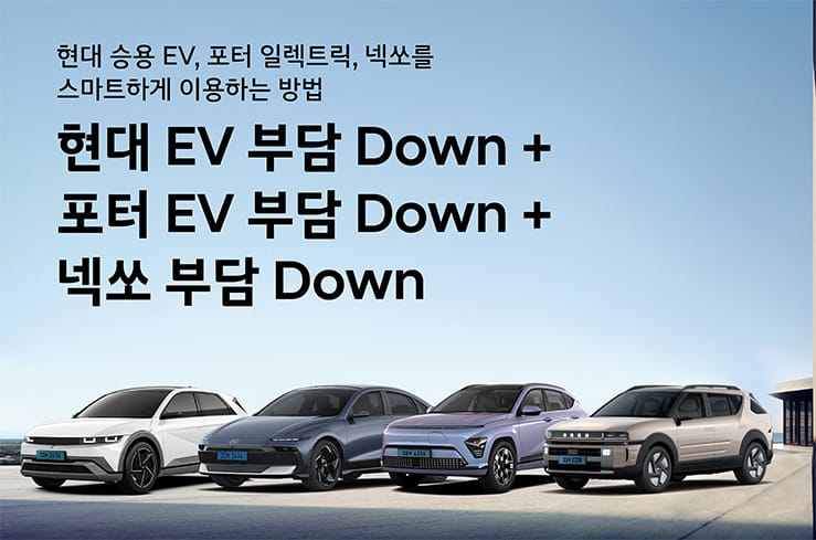 현대 부담 Down