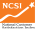 2021년 국가고객만족도 (NCSI) 자동차기업 최초 조사대상 전부문 8년 연속 1위 수상 (준중형, 중형, 준대형, 대형, RV)