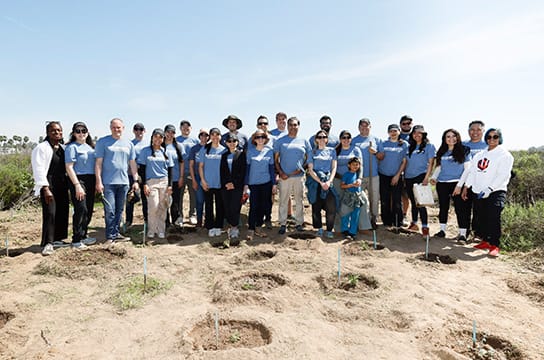 아이오닉 포레스트 북미