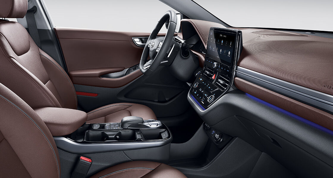 IONIQ Electric Red Umber Interior