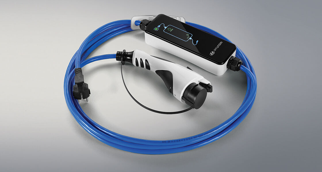 220V portable charging cable