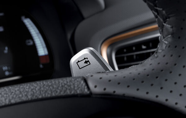 Paddle shift (regenerative brake control)