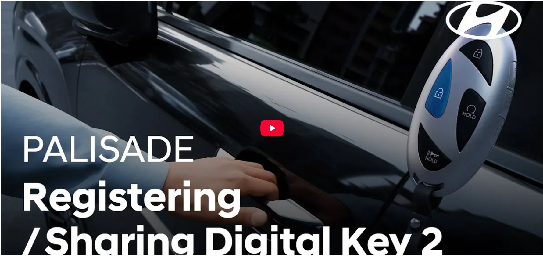 palisade registering key