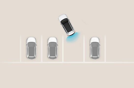 Parking assist.