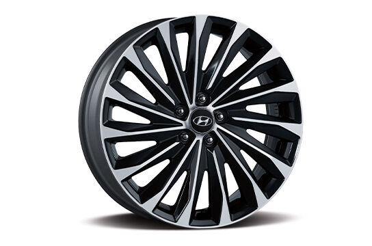 palisade-lx2-pe-exterior-side-accordion-18alloy_wheel_pc.jpg