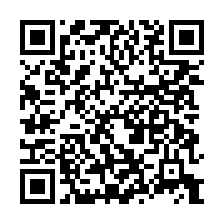 Bluelink App Store QR