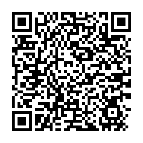 Bluelink Google play QR