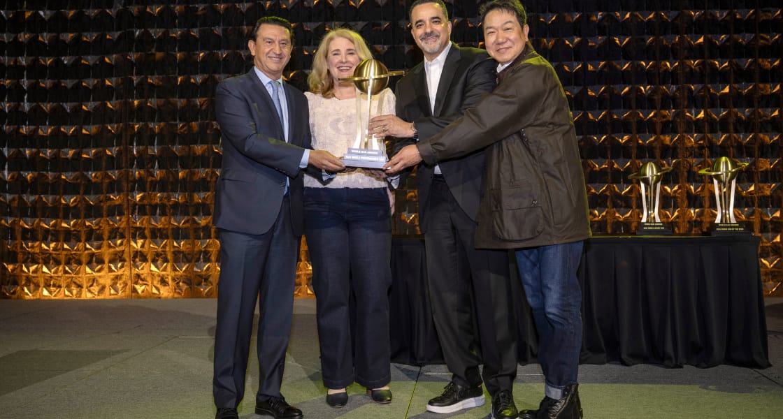 IONIQ 6N World Car Awards