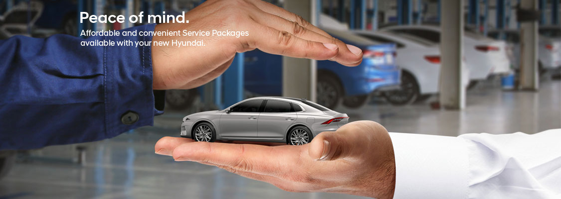 Hyundai Service Package