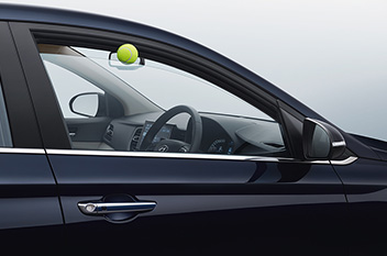 Driver Power Window Pinch Guard