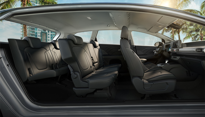 stargazer interior