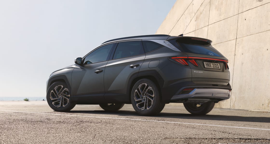 Bold character lines and voluminous rear wheel arches reinforce the sporty style.