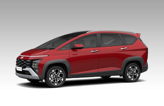 Wheel Arc and Side Mouldings and Roof Rail