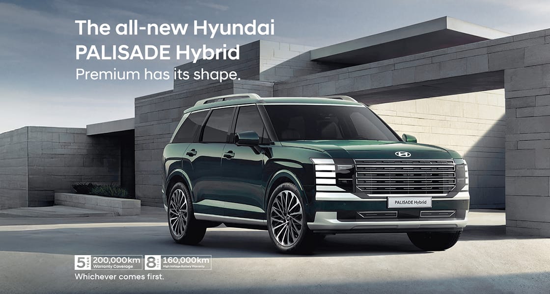 palisade-hev-service