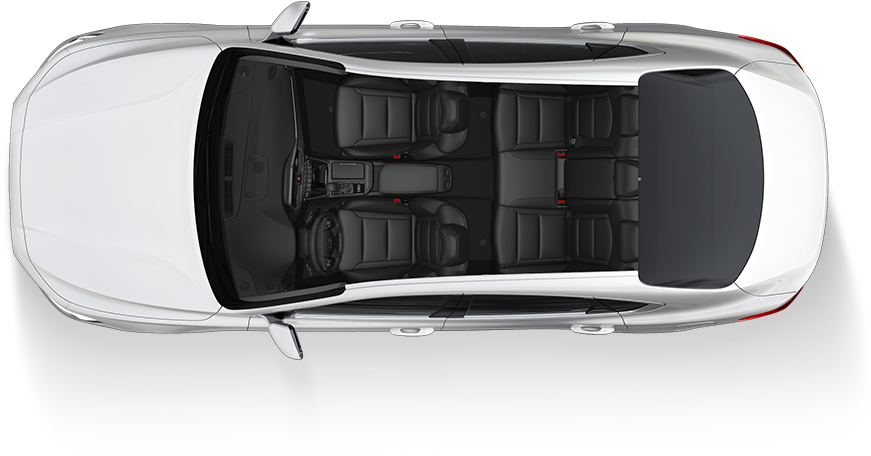 Black Monotone car seat