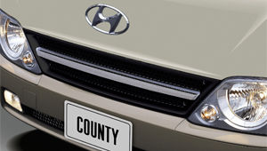 image of county front bumper and fog lamps
