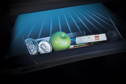 Objects stored in the glove box