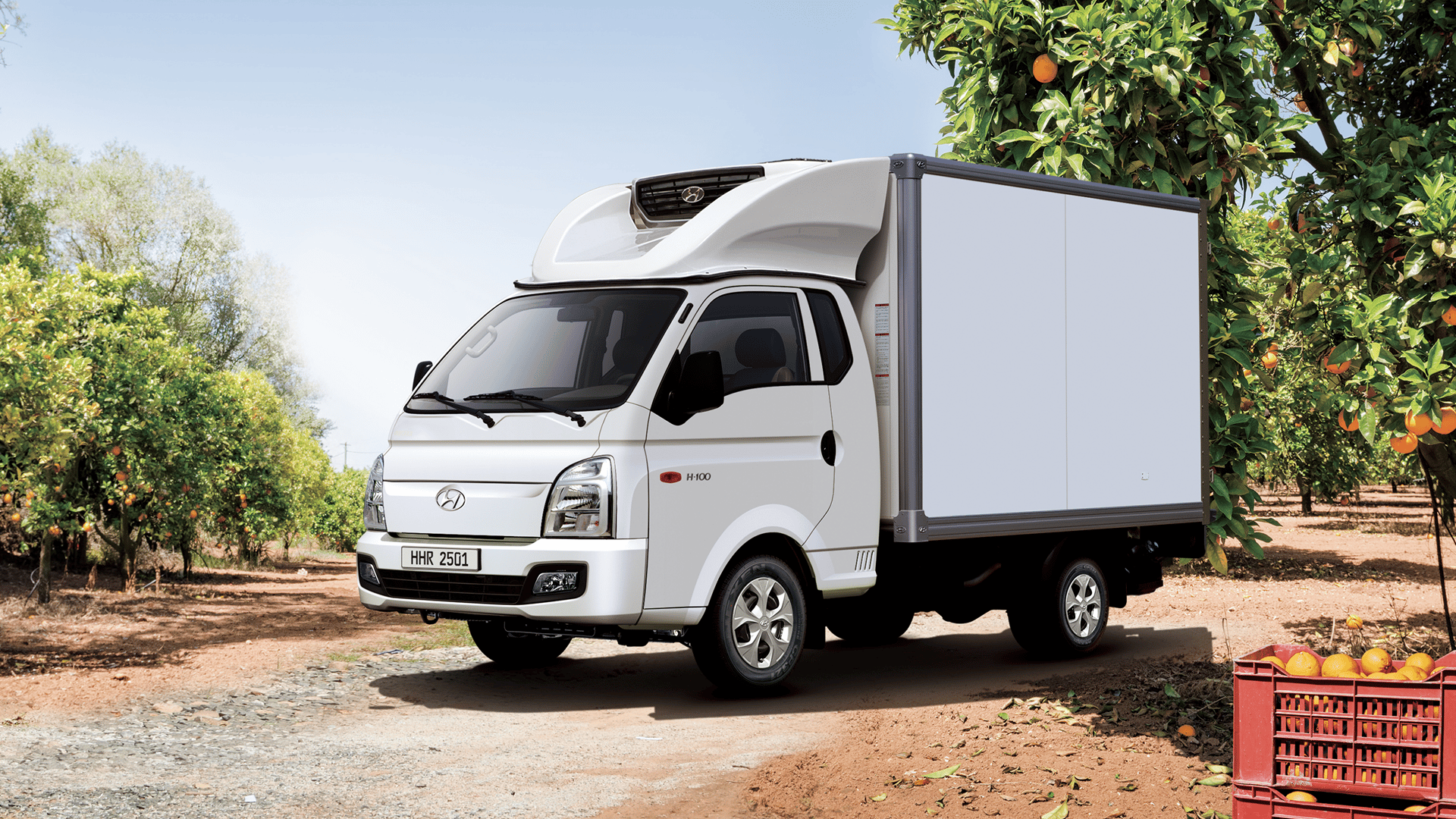 A Refrigerator Truck parked next to a tree in an orange grove, with boxes of harvested oranges stacked beside it.