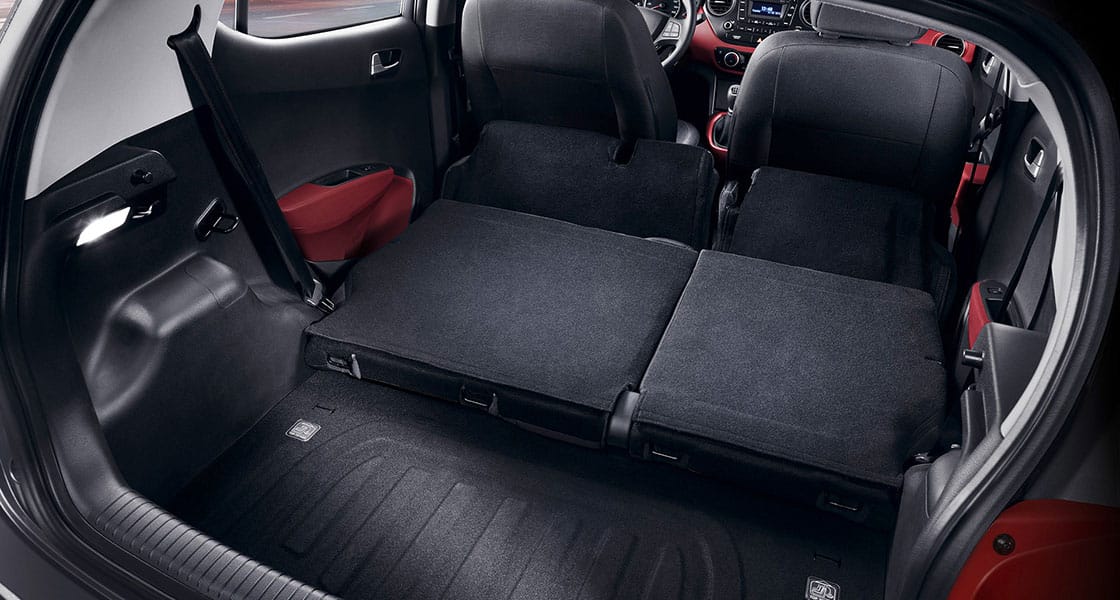 Panoramic view of trunk area