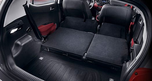 Panoramic view of trunk area